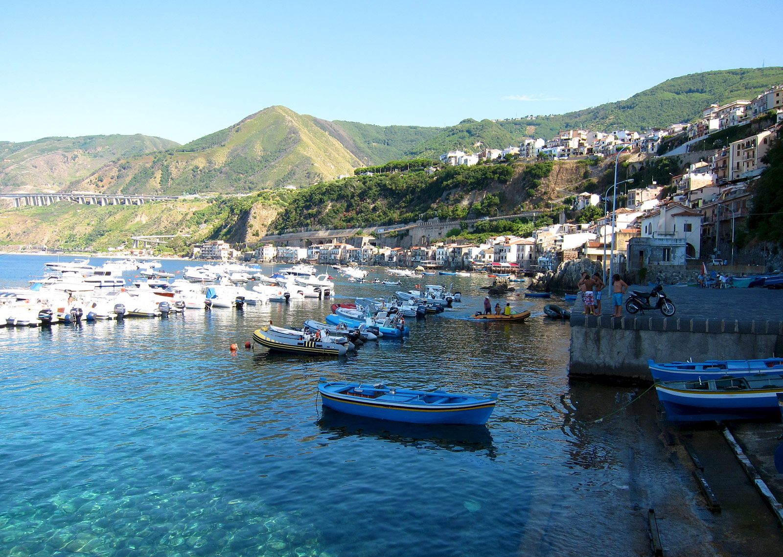 Scilla